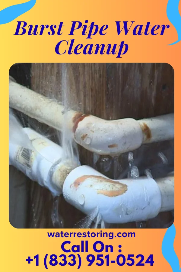 Burst Pipe Water Cleanup in Smithland, KY