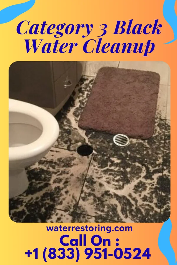 Category 3 Black Water Cleanup in Smithland, KY
