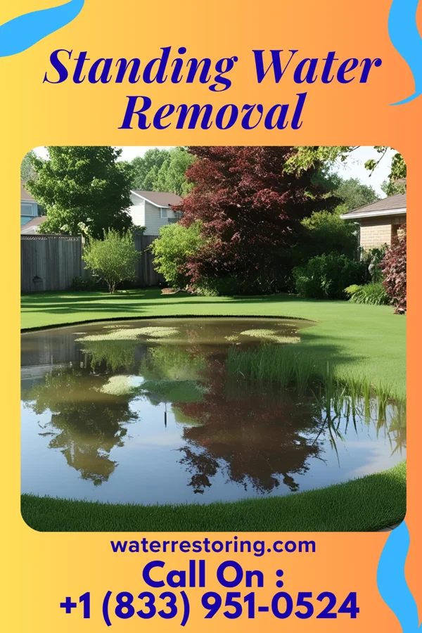 Standing Water Removal in Smithland, KY